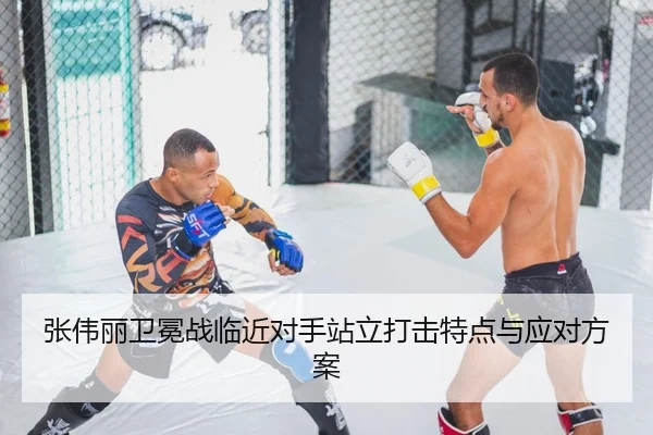 张伟丽卫冕战临近对手站立打击特点与应对方案